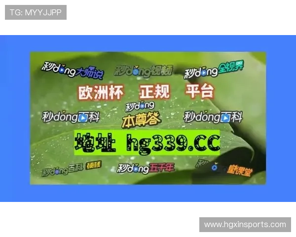 新2足球会员网址大全针对新手用户的使用指南与常见问题解答