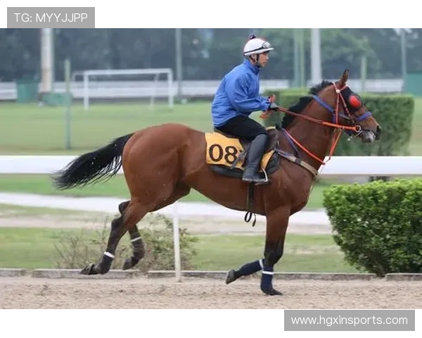 澳门赛马玩法指南助你轻松入门体验澳门赛马的精彩魅力