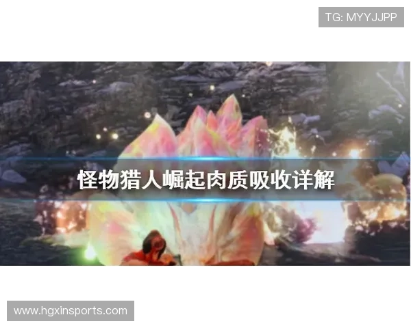 巴黎人客户端与官方网站的区别详解选择最适合你的游戏平台